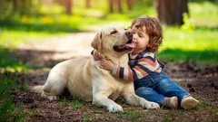 Wat het ras van een hond zegt over het karakter van de eigenaar